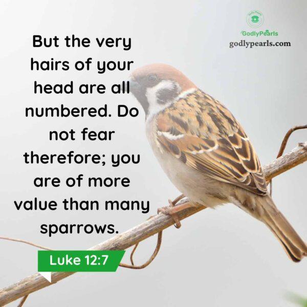 You are of great worth