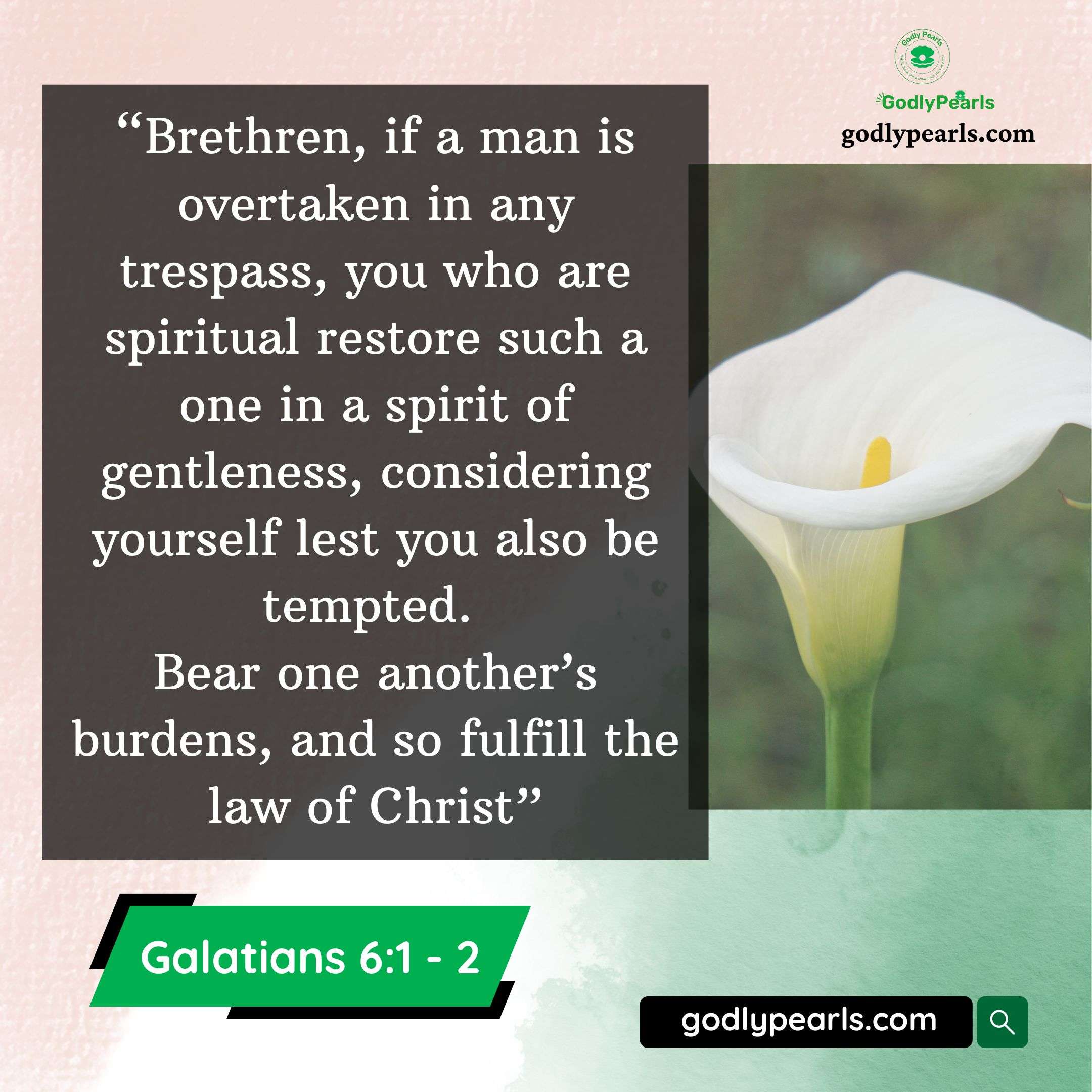 Standing in the gap for others